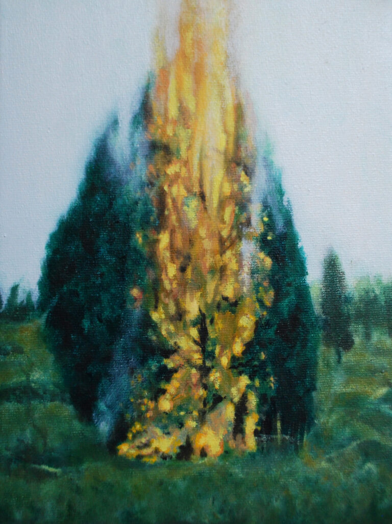 BurnB