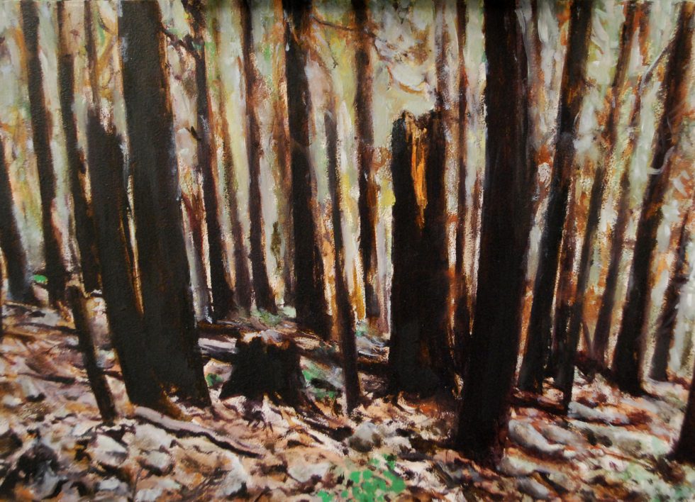 Seegersbos oilpaint on panel 10 x 15 cm Daniela Schwabe 2019